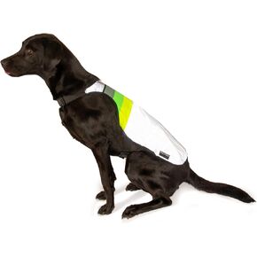 Moonlight Reflective Dog Coat - Northern Light Design - Size L – High-Visibility Vest for Dogs – Ideal for Night Walking, Outdoors Adventures