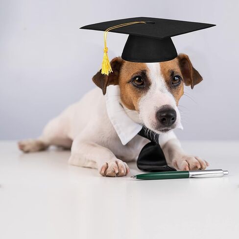 2023 Graudation Dog Cat Cap and Necktie Set, Graduation Costumes for Large Medium Small Pets Puppies in Saudi Arabia