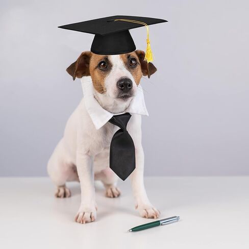 2023 Graudation Dog Cat Cap and Necktie Set, Graduation Costumes for Large Medium Small Pets Puppies in Saudi Arabia