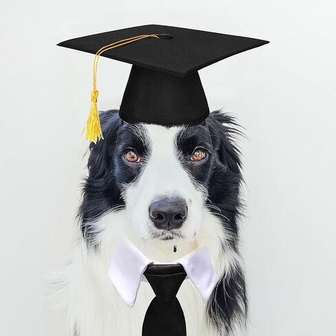 2023 Graudation Dog Cat Cap and Necktie Set, Graduation Costumes for Large Medium Small Pets Puppies in Saudi Arabia
