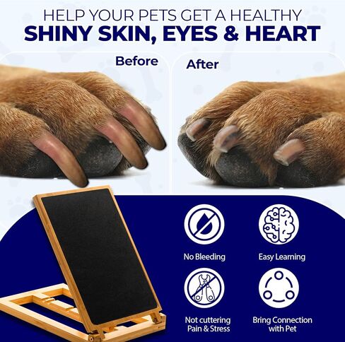 AZAS-AZAS Dog scratch pad for nails Non-slip 2 replaceable sandpaper dog scratch board for all Dog breeds scratch pad for dogs dog nail scratch board dog nail grinder nail file for dogs 15*10*1.5in in Saudi Arabia