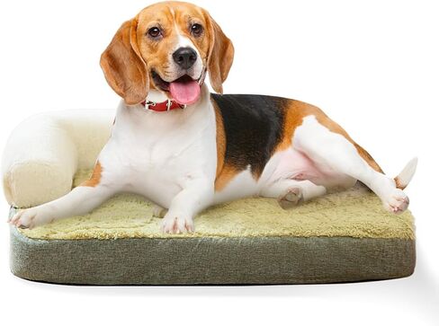 Small Medium Dog Bed, Washable Dog Bed with Removable Cover and Nonskid Bottom, Fuzzy Warm Dog Bed Indoor with Neck Pillow for Dog Cat Sleeping, 30x20 Inches in Saudi Arabia