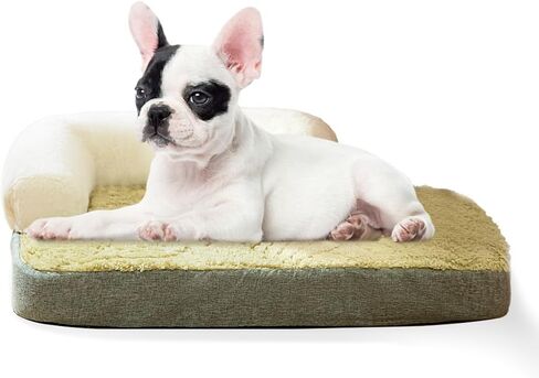 Small Medium Dog Bed, Washable Dog Bed with Removable Cover and Nonskid Bottom, Fuzzy Warm Dog Bed Indoor with Neck Pillow for Dog Cat Sleeping, 30x20 Inches in Saudi Arabia