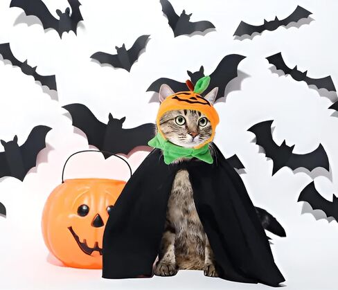 Cat Halloween Pumpkin Costume Dog, Adjustable Orange Pet Leaves Pumpkin Cap for Halloween Cosplay Costume Puppy Kitten Party Dress Up for Puppy Kitty Halloween Cosplay Costume in Saudi Arabia