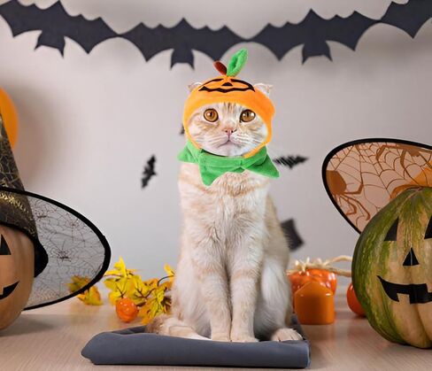 Cat Halloween Pumpkin Costume Dog, Adjustable Orange Pet Leaves Pumpkin Cap for Halloween Cosplay Costume Puppy Kitten Party Dress Up for Puppy Kitty Halloween Cosplay Costume in Saudi Arabia