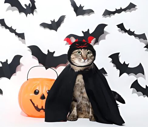 Cat Halloween Pumpkin Costume Dog, Adjustable Orange Pet Leaves Pumpkin Cap for Halloween Cosplay Costume Puppy Kitten Party Dress Up for Puppy Kitty Halloween Cosplay Costume in Saudi Arabia