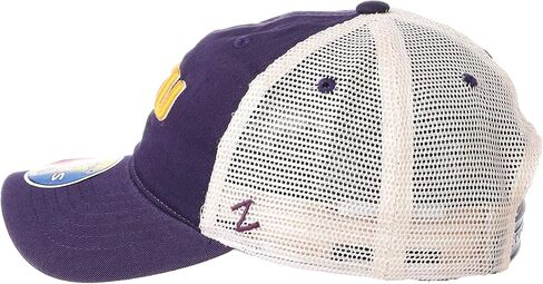 Zephyr ZHATS Kids' Adjustable University Hat Team Color, One Size in Saudi Arabia