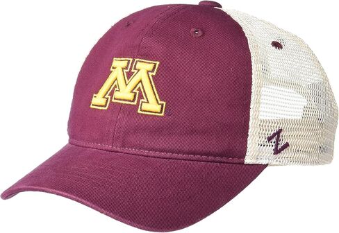 Zephyr ZHATS Kids' Adjustable University Hat Team Color, One Size in Saudi Arabia