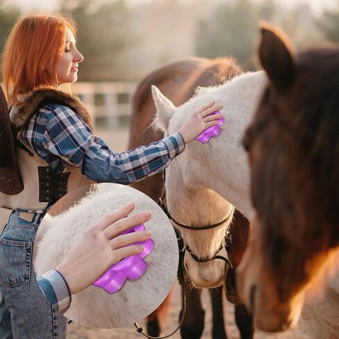 2 جهاز كمبيوتر شخصى مشط الكاري لفرشاة الكاري زهرة الحصان للاستمالة تسليط زهرة 3.5 بوصة البلاستيك الأرجواني فرشاة الحصان تسليط أداة الحصان الشعر Deshedding عدة فرشاة الماشية الحصان أمشاط الكاري للكلاب in Kuwait