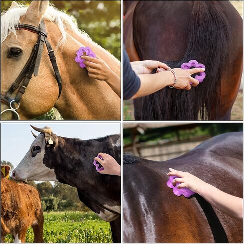 2 جهاز كمبيوتر شخصى مشط الكاري لفرشاة الكاري زهرة الحصان للاستمالة تسليط زهرة 3.5 بوصة البلاستيك الأرجواني فرشاة الحصان تسليط أداة الحصان الشعر Deshedding عدة فرشاة الماشية الحصان أمشاط الكاري للكلاب in Kuwait