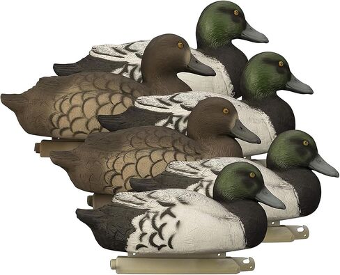 هيغدون في الهواء الطلق سفينة حربية بلوبيل بطة الأفخاخ، مليئة بالرغوة in Kuwait