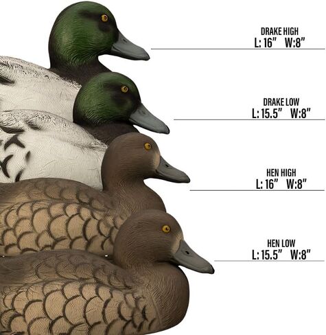 هيغدون في الهواء الطلق سفينة حربية بلوبيل بطة الأفخاخ، مليئة بالرغوة in Kuwait