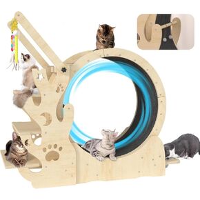 Upgraded Cat Wheel, Cat Exercise Wheel for Indoor Cats, Cat Treadmill with Cat House, Cat Stand, Cat Tree, Cat Bowl, Carpet Run, Cat Amusing Stick, Cat Running Wheel for Kitty's Longer Life in Kuwait