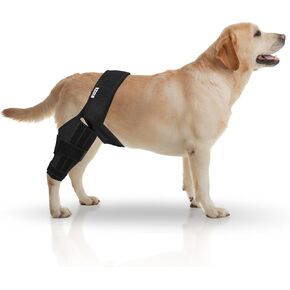دعامة ركبة ممتازة للكلاب من أجل ACL/CCL الممزقة - دعامة ركبة ACL عالمية لجميع الأرجل الأربعة - أشرطة قابلة للتعديل - دعامات مثالية لساق الكلب لدعم الساق الخلفية والتعافي.