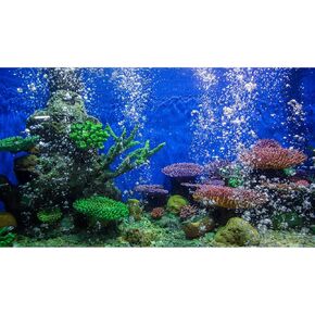 Aquarium Background Underwater Terrarium Background Undersea Reef Seaweed Colorful Coral Tropical Fish Tank Background Vinyl Decor 24x12in