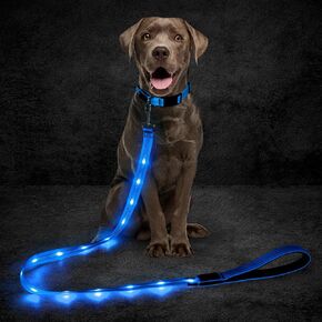 Led Dog Leash, 5 Ft Light Up Dog Leash for Night Walking, Glowing Pet Leash USB Rechargeable, Nylon Flashing Dog Leash with Soft Padded Handle (Pink)