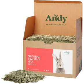 Andy 1st Cut Timothy Hay, Premium Rabbit Food, 15 lb Box, Guinea Pig, Hamster, & Bunny Hay, Superior Nutrition Small Animal Food, for Rabbits, Chinchillas, and Guinea Pigs