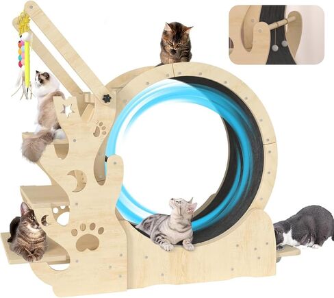 Upgraded Cat Wheel, Cat Exercise Wheel for Indoor Cats, Cat Treadmill with Cat House, Cat Stand, Cat Tree, Cat Bowl, Carpet Run, Cat Amusing Stick, Cat Running Wheel for Kitty's Longer Life in Kuwait