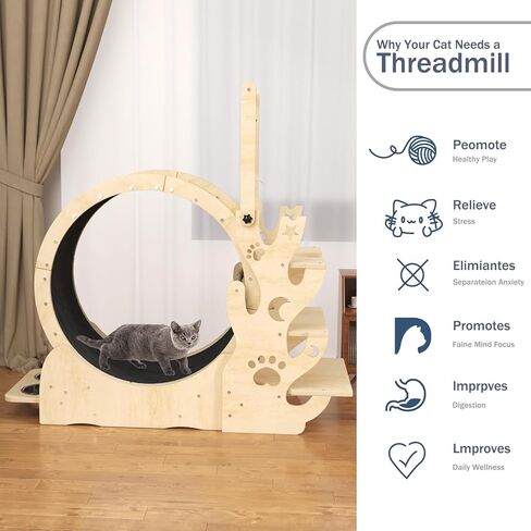 Upgraded Cat Wheel, Cat Exercise Wheel for Indoor Cats, Cat Treadmill with Cat House, Cat Stand, Cat Tree, Cat Bowl, Carpet Run, Cat Amusing Stick, Cat Running Wheel for Kitty's Longer Life in Kuwait