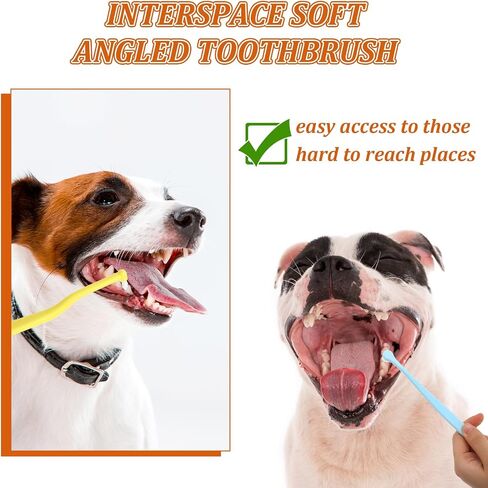 DIVINA VITAE 5Pcs Small Dog & Cat Toothbrush with Long Handle, 2 Styles Cat Tooth Brush Soft Silicone Pet Toothbrush for Cats, Round&Pointed Dog Tooth Brush for Pet Teeth Deep Clean in Saudi Arabia
