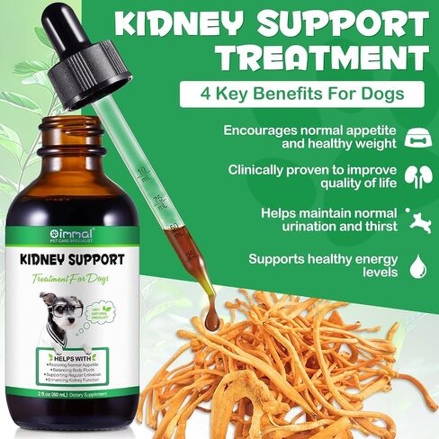 Kidney Support for Dogs - Kidney Support Supplement, Supports Immune, Urinary & Kidney Health Function, Natural Herbal Supplement (2 Fl Oz) in Kuwait