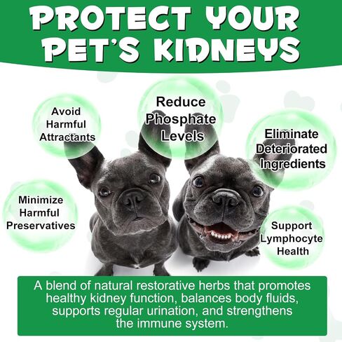Kidney Support for Dogs - Kidney Support Supplement, Supports Immune, Urinary & Kidney Health Function, Natural Herbal Supplement (2 Fl Oz) in Kuwait