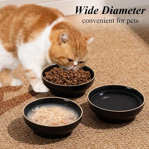 Ceramic Cat Bowl Dishes for Food and Water, Safe Food-Grade Porcelain 5.3 in 3 Pack Cat Dishes and Plates for Feeding Indoor Cats, Kittens and Small Dogs, Durable & Dishwasher Safe Pet Dish, Black in Saudi Arabia