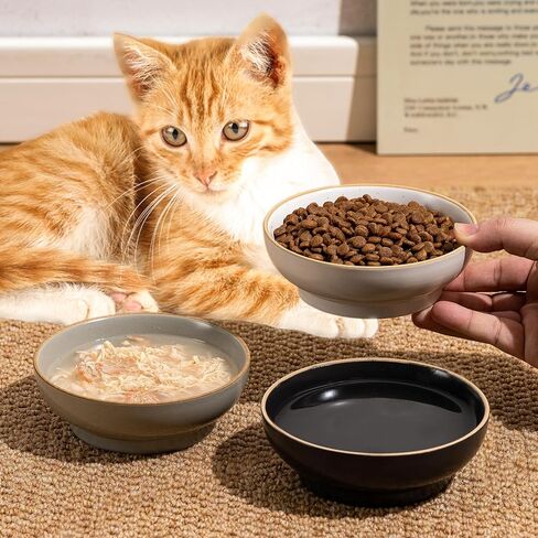 Ceramic Cat Bowl Dishes for Food and Water, Safe Food-Grade Porcelain 5.3 in 3 Pack Cat Dishes and Plates for Feeding Indoor Cats, Kittens and Small Dogs, Durable & Dishwasher Safe Pet Dish, Black in Saudi Arabia