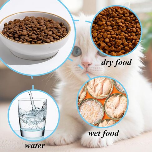Ceramic Cat Bowl Dishes for Food and Water, Safe Food-Grade Porcelain 5.3 in 3 Pack Cat Dishes and Plates for Feeding Indoor Cats, Kittens and Small Dogs, Durable & Dishwasher Safe Pet Dish, Black in Saudi Arabia