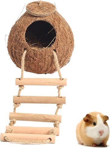 Interactive Hamster Toys: Discover The Coconut Hideaway for Endless Fun with Coconut Shell Hermit Crab Shells (Shredded-Coconut-Shell-Staircase), brown in Saudi Arabia