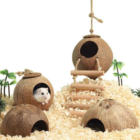 Interactive Hamster Toys: Discover The Coconut Hideaway for Endless Fun with Coconut Shell Hermit Crab Shells (Shredded-Coconut-Shell-Staircase), brown in Saudi Arabia