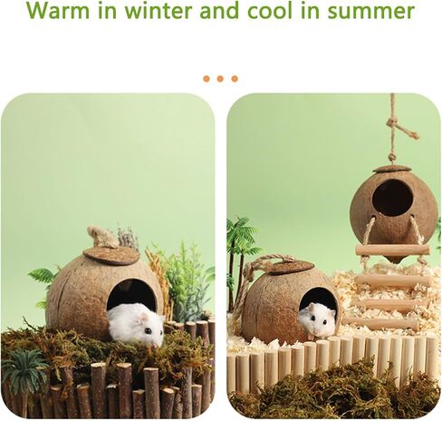Interactive Hamster Toys: Discover The Coconut Hideaway for Endless Fun with Coconut Shell Hermit Crab Shells (Shredded-Coconut-Shell-Staircase), brown in Saudi Arabia