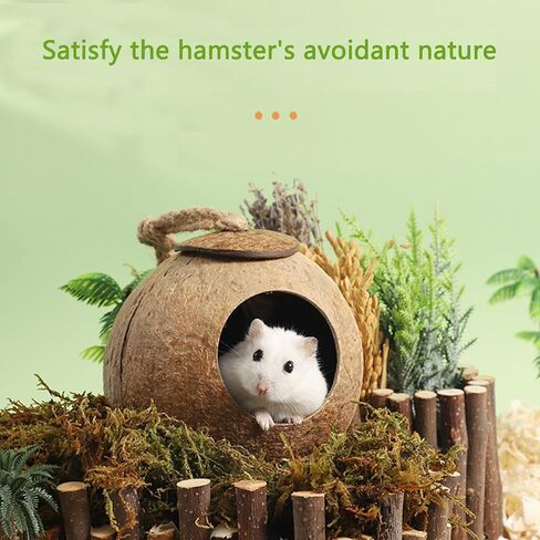 Interactive Hamster Toys: Discover The Coconut Hideaway for Endless Fun with Coconut Shell Hermit Crab Shells (Shredded-Coconut-Shell-Staircase), brown in Saudi Arabia