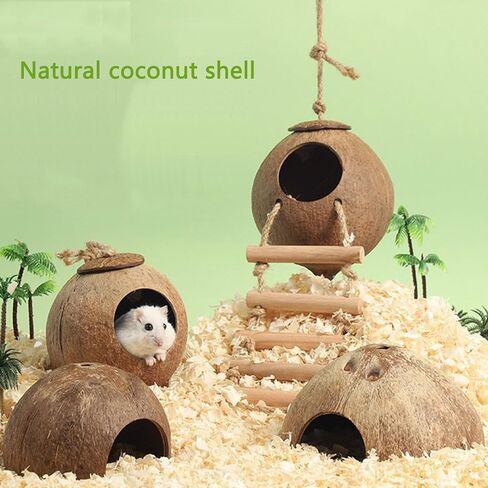Interactive Hamster Toys: Discover The Coconut Hideaway for Endless Fun with Coconut Shell Hermit Crab Shells (Shredded-Coconut-Shell-Staircase), brown in Saudi Arabia