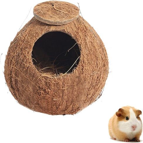 Interactive Hamster Toys: Discover The Coconut Hideaway for Endless Fun with Coconut Shell Hermit Crab Shells (Shredded-Coconut-Shell-Staircase), brown in Saudi Arabia
