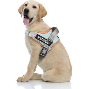 AUROTH Dog Harness, No Pull Dog Harness with Handle, No Choke, Soft Padded Service Dog Vest, Easy On, Adjustable Reflective Dog Harness for Small, Medium and Large Dogs, Easy Walking and Training