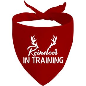 JXGZSO 1 Piece Christmas Dog Bandanas Christmas Scarf Accessories Reindeer in Training Dog Bandana (Reindeer in Training D)