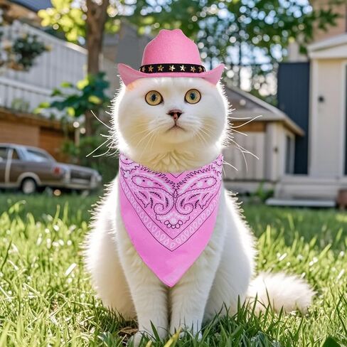 Pet Cowboy Costume Halloween Costumes for Small Pet Dogs Cat Cowboy Hat with Bandana Scarf Set Party Accessories (Pink, Small) in Kuwait