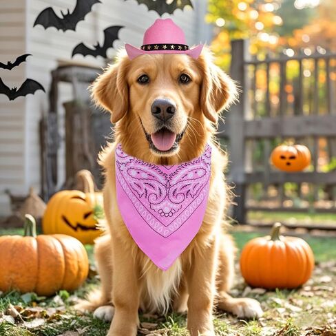 Pet Cowboy Costume Halloween Costumes for Small Pet Dogs Cat Cowboy Hat with Bandana Scarf Set Party Accessories (Pink, Small) in Kuwait