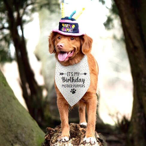 It's My Birthday Mother Puppers White Dog Bandana Birthday Boy Dog Bandana Dog Birthday Gifts for Dogs Photo Prop Party Supplies Puppy Dog Pet Bandanas Pet Scarf Accessories for Dog Mom in Saudi Arabia