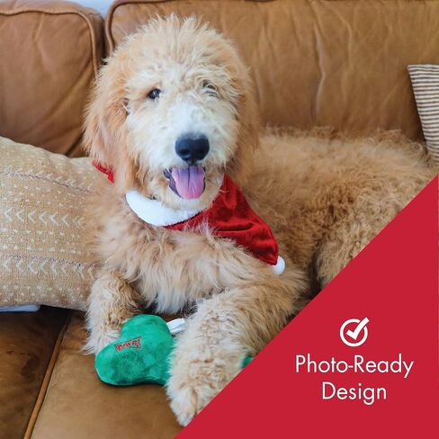 H&K Bandana for Pets | Elf Suit (Large) | Festive Velvet Christmas Holiday Accessory for Dogs/Cats | Holiday Pet Bandana | Cute Fun Winter Pet Accessory in Saudi Arabia