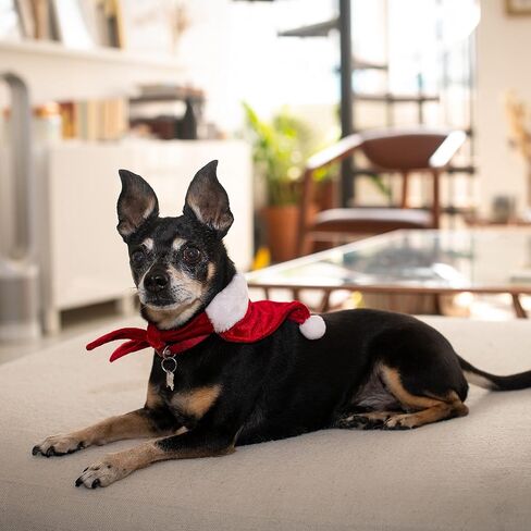 H&K Bandana for Pets | Elf Suit (Large) | Festive Velvet Christmas Holiday Accessory for Dogs/Cats | Holiday Pet Bandana | Cute Fun Winter Pet Accessory in Saudi Arabia