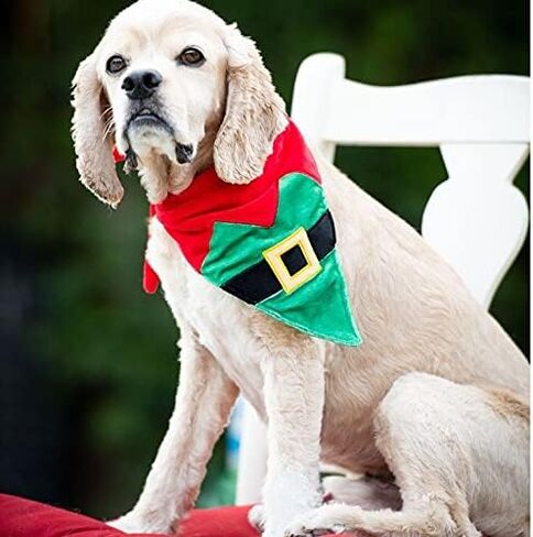 H&K Bandana for Pets | Elf Suit (Large) | Festive Velvet Christmas Holiday Accessory for Dogs/Cats | Holiday Pet Bandana | Cute Fun Winter Pet Accessory in Saudi Arabia