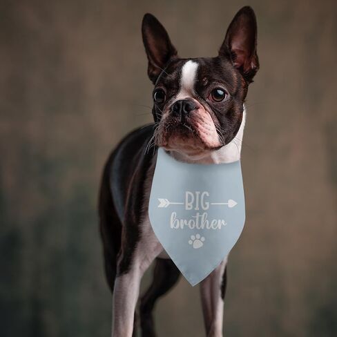 إنها عيد ميلادي الأم الجراء الأبيض الكلب باندانا عيد ميلاد الصبي الكلب باندانا الكلب هدايا عيد ميلاد للكلاب صور الدعامة لوازم الحفلات جرو كلب أليف عصابات الحيوانات الأليفة وشاح الملحقات لأم الكلب in Kuwait