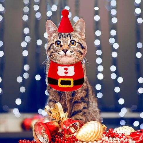 ADOGGYGO عيد الميلاد القط باندانا قبعة مجموعة، الأحمر سانتا الحيوانات الأليفة باندانا القط عيد الميلاد زي اكسسوارات الديكور للقطط هريرة (الأحمر) in Kuwait