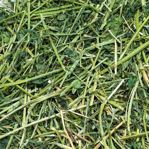Ultra Premium Alfalfa Hay for Small Pets - 12 oz - Hand-Sorted & Fresh in Saudi Arabia