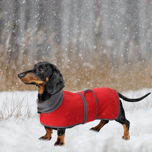 Geyecete Warm Thermal Quilted Dachshund Coat,Dog Winter Coat with Adjustable high Collar, Outdoor Dog Apparel for Small,Medium, Large Dog-Red-XS in Kuwait