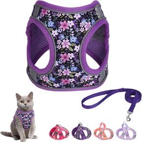 Step in Dog Harness and Leash Set, Flower Adjustable Easy Walk Puppy Harnesses, Soft Mesh Pet Vest Harness Small Size Dog Adjustable No Pull Dog Harness for Small Dogs and Cats(Dinosaur, XS)