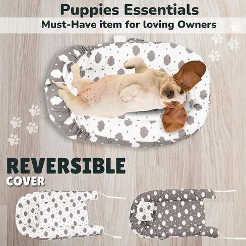 Pet Lounger- Pet Bed- Dog Bed for Ultimate Comfort- Washable Cover pet Couch-Perfect for Small and Medium pet Bed-Dog beds- Cat Bed-Portable for Indoor and Outdoor -Orthopedic Dog Bed in Saudi Arabia