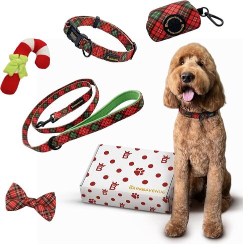 Dog Collar Leash Set - Premium Collar and Leash Combo with Stylish Bow & Poop Bag Holder - Ideal for Small, Medium & Large Dogs (M/S/L) (Large) in Saudi Arabia